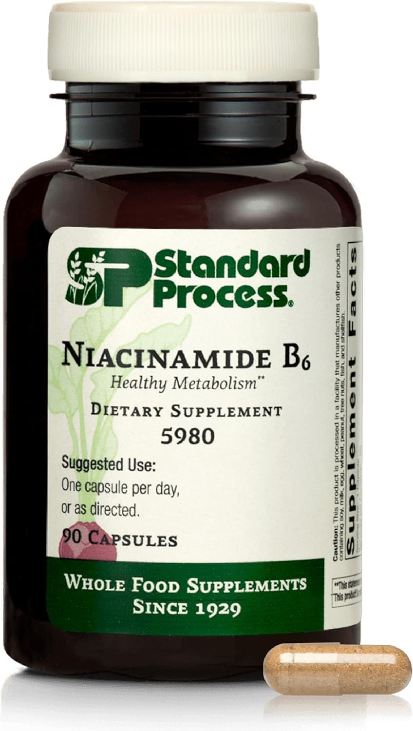 Standard Process Inc. Niacinamide B6 - Whole Food Energy, Metabolism and Nervous System Supplements with Soy Protein, Vitamin B6, Ascorbic Acid, Calcium Lactate, and Niacinamide - 90 Capsules
