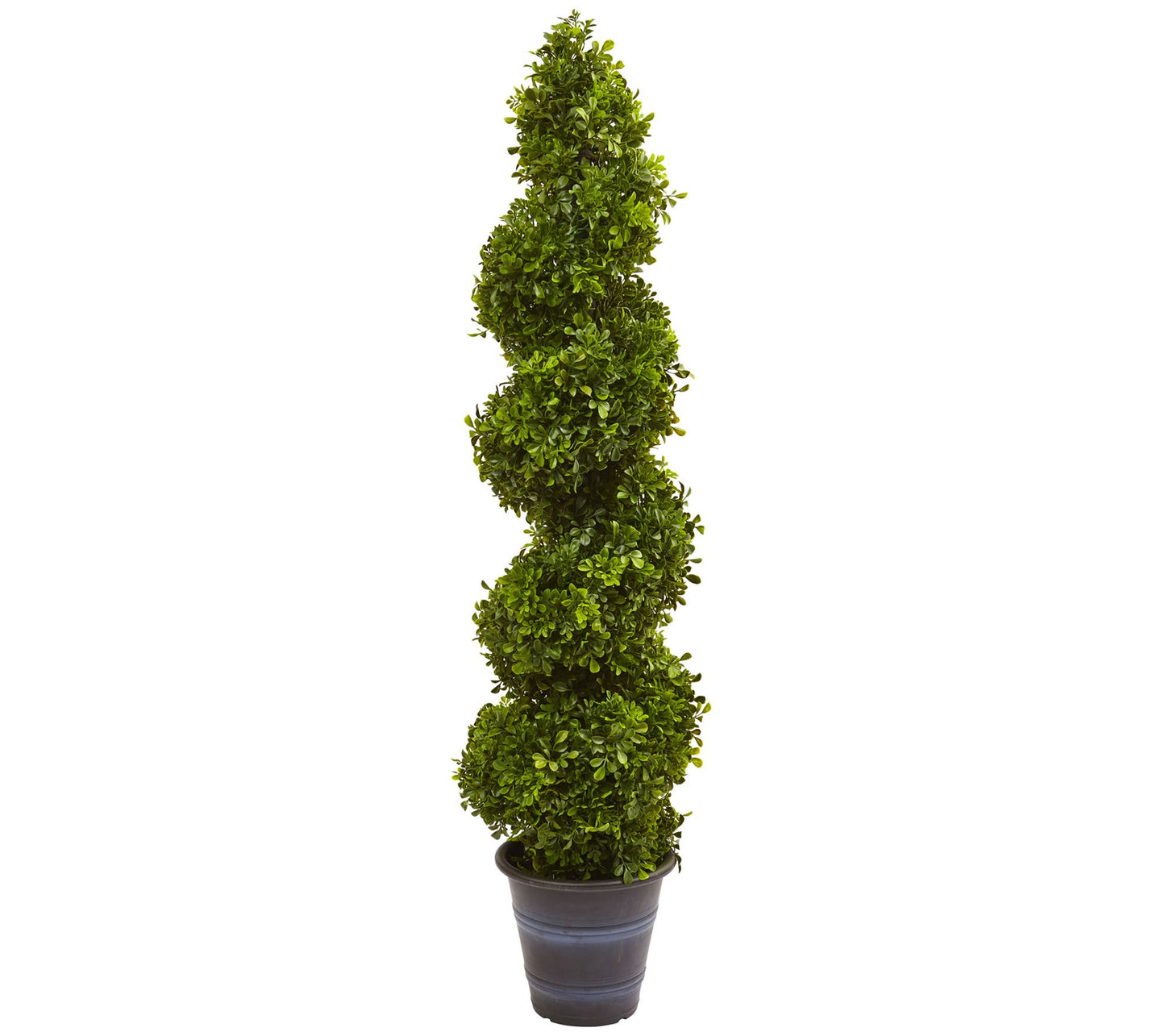 4' Boxwood Spiral Topiary Tree in Planter by Nearly Natural