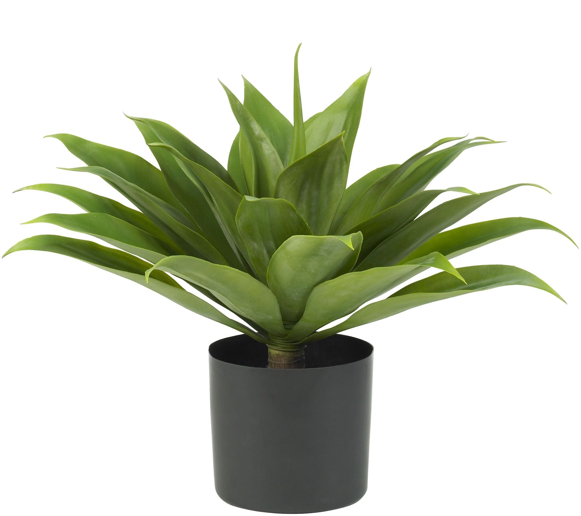 Agave Plant by Nearly Natural