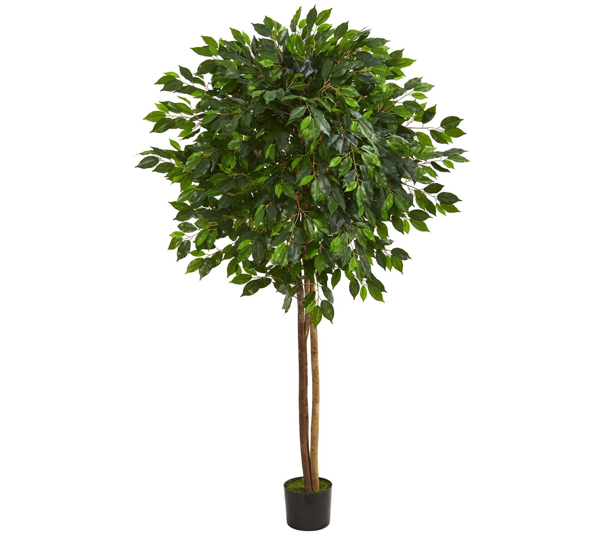 6.5' Ficus Artificial Tree by Nearly Natural