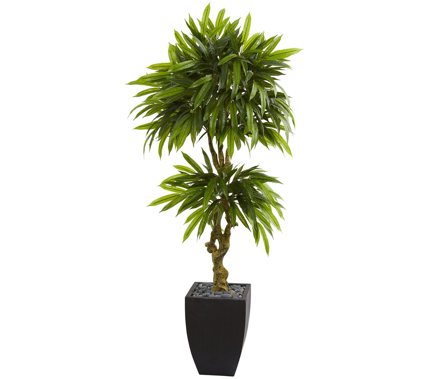 5.5' Mango Tree in Black Wash Planter by Nearly Natural