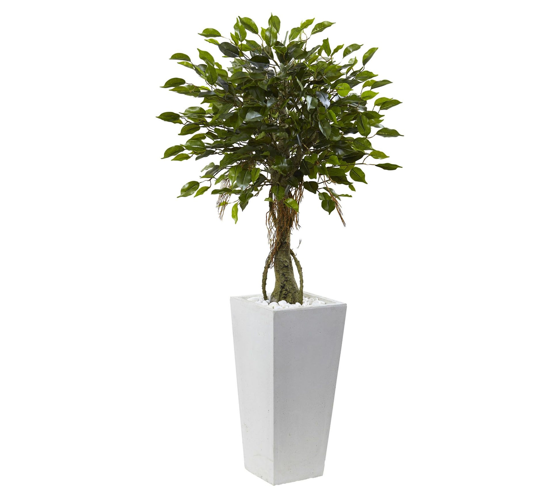 52" Ficus Tree with White Planter by Nearly Natural