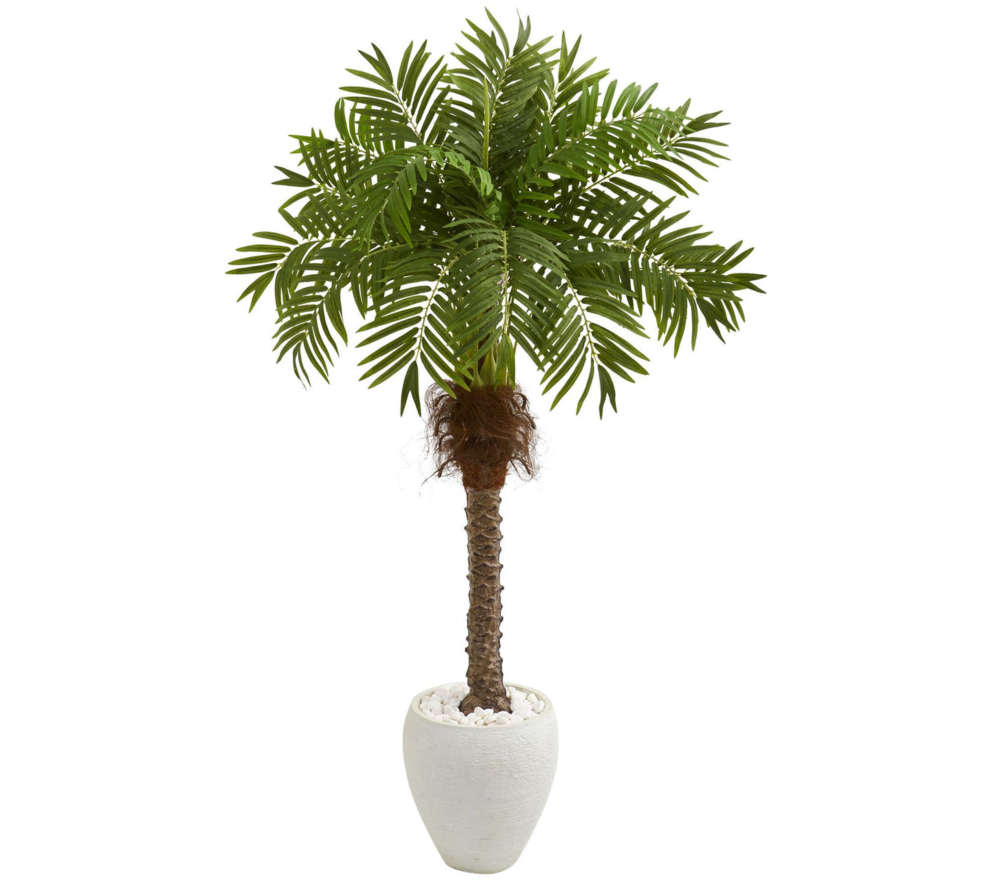 63" Robellini Palm Tree in White Planter by Nearly Natural