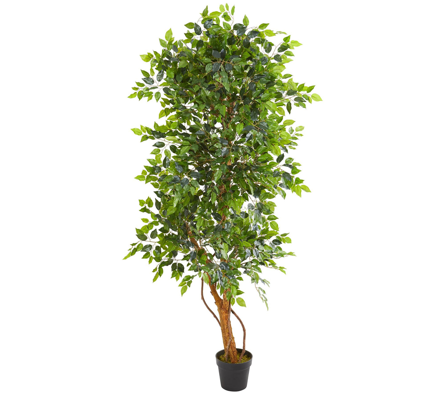 6' Elegant Ficus Artificial Tree by Nearly Natural