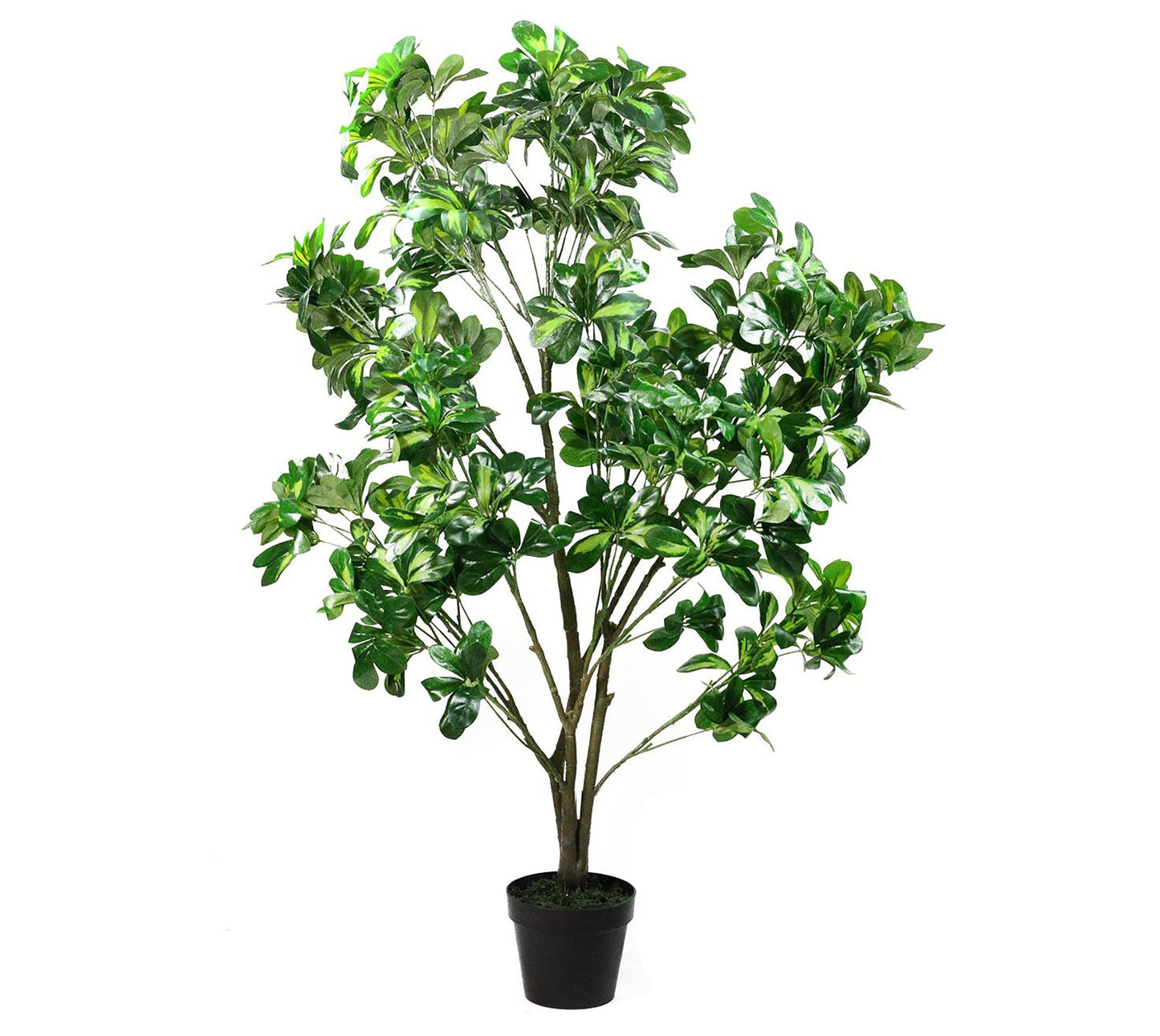 Northlight Potted Artificial Two Tone SchefferaPlant Tree