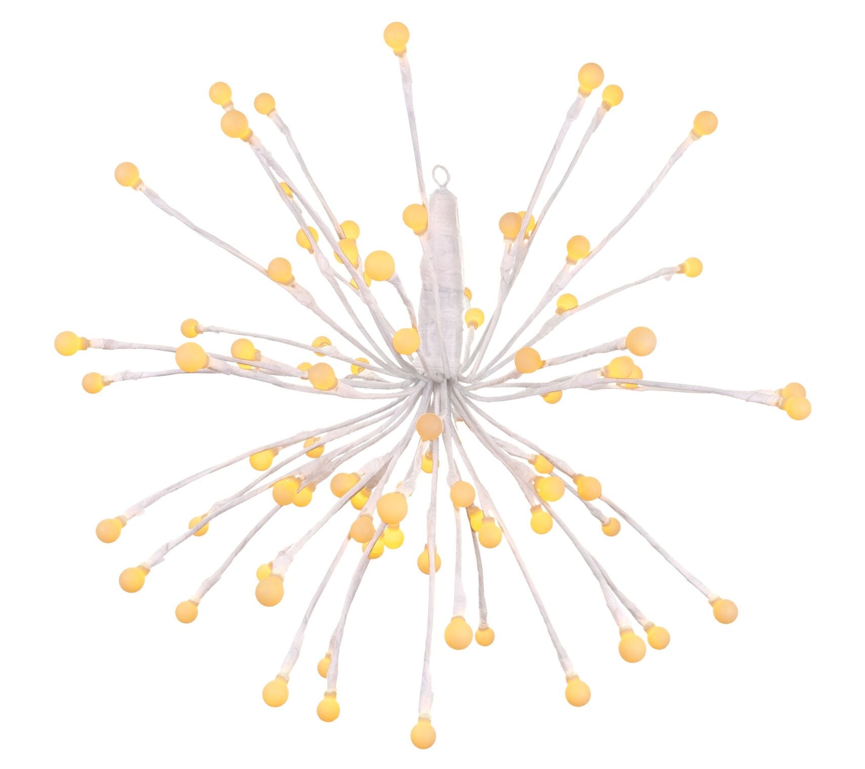 Fraser Hill Farm 16" Pre-Lit LED Starburst Decoration 6-Set