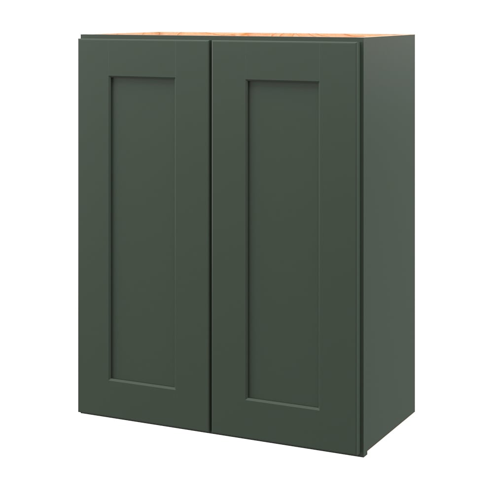 allen + roth Galway 24-in W x 30-in H x 12-in D Sage Wall Fully assembled Cabinet Flat Panel