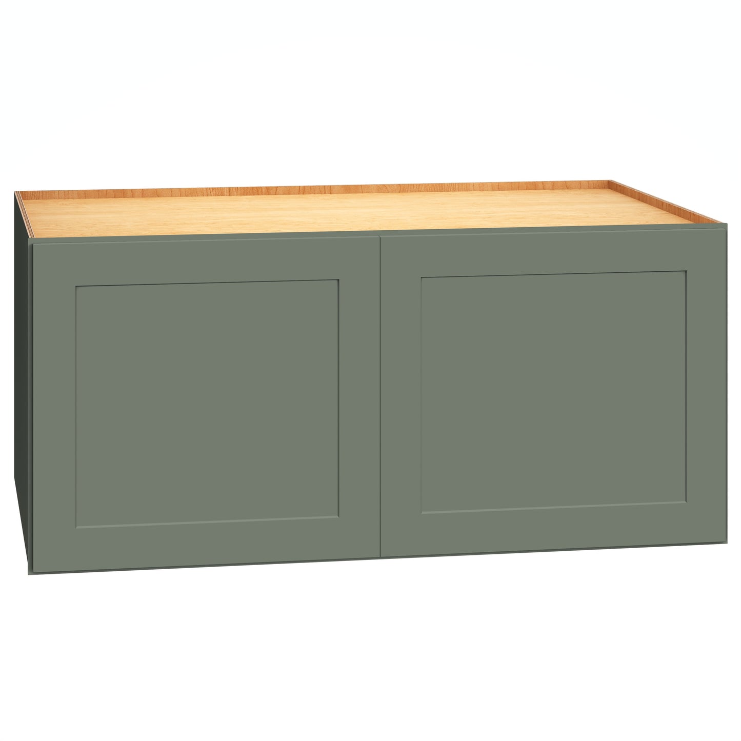 Diamond Express Jamestown 39-in W x 18-in H x 24-in D Retreat Green Wall Fully assembled Plywood Cabinet Recessed Panel