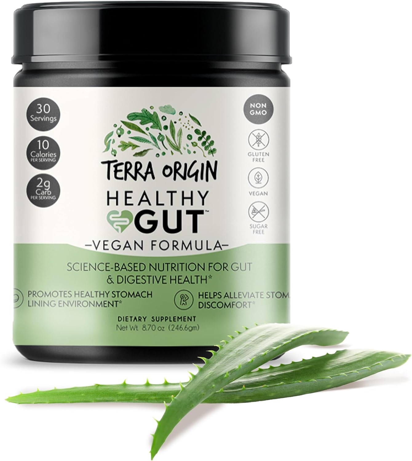TERRA ORIGIN Healthy Gut Powder Vegan Formula | with L Glutamine, DGL Licorice Root Powder, MSM | Bloating and Leaky Gut | Gut Health for Women and Men | 30-Servings