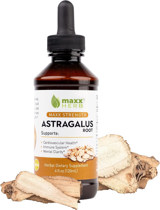 Maxx Herb Astragalus Root Extract - Max Strength Liquid Tincture Absorbs Better Than Capsules or Powder, for Immune Support and Mental Clarity - 4 Oz Bottle (60 Servings)