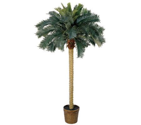 6' Sago Palm Tree by Nearly Natural