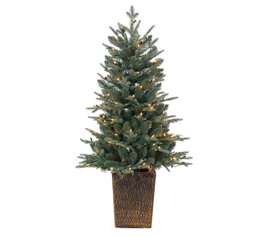 4'H Potted Nat Cut Blue Spruce with 100 Lightsy Sterling Co
