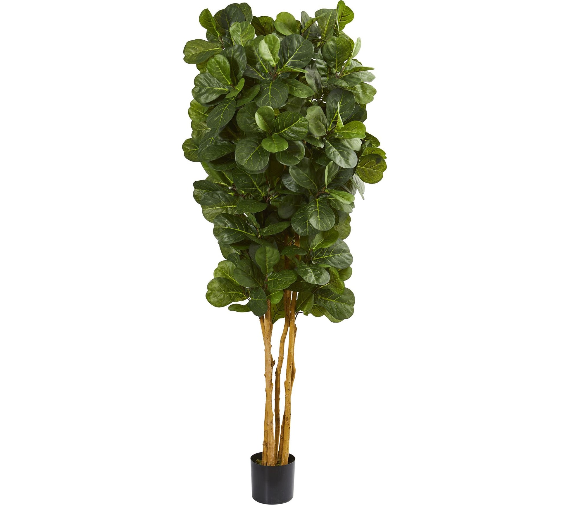 7' Fiddle Leaf Fig Tree in Black Planter by Nearly Natural