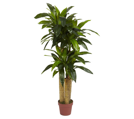 4' Corn Stalk Dracaena Silk Plant by Nearly Natural