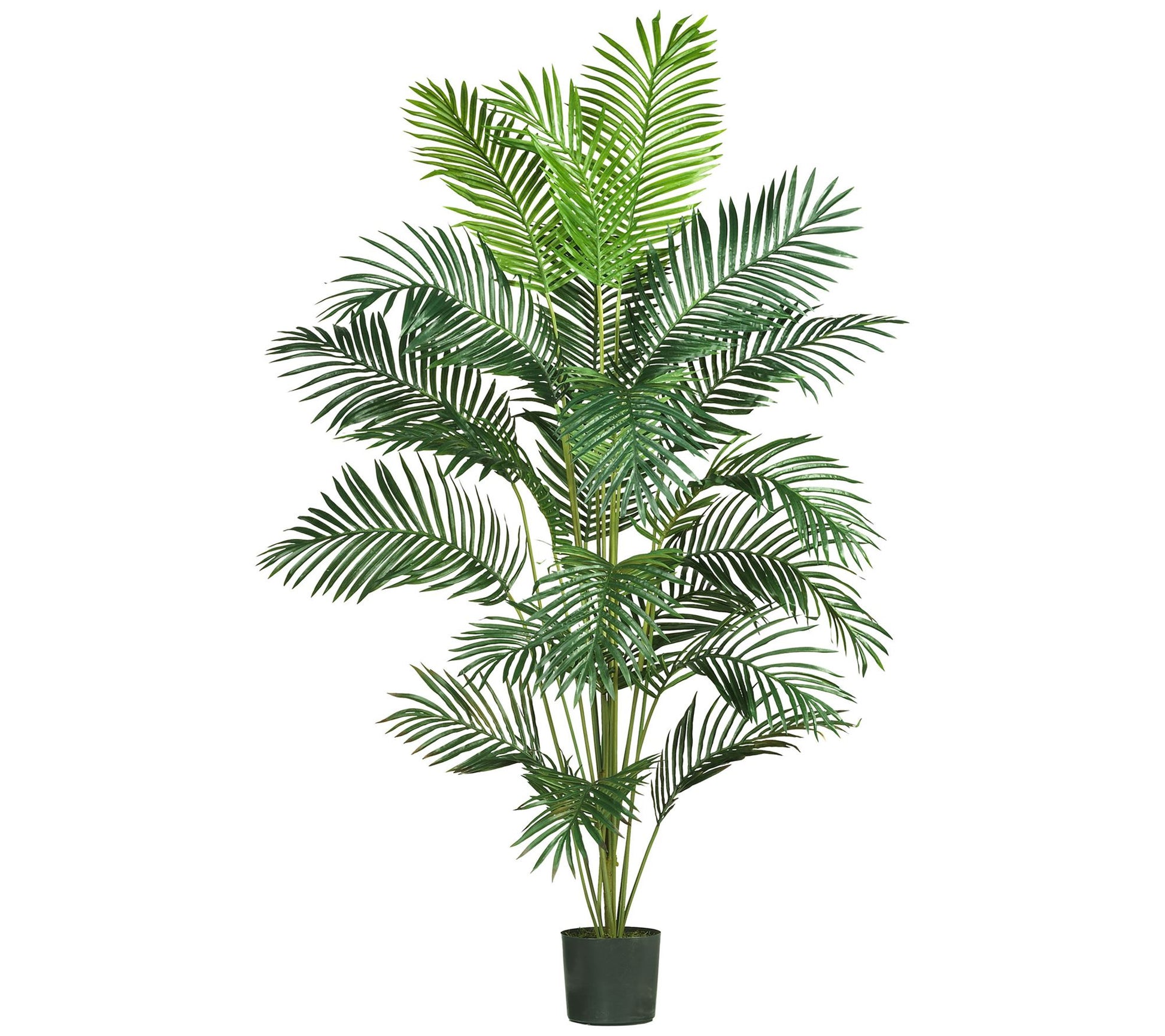 7' Paradise Palm Silk Tree by Nearly Natural