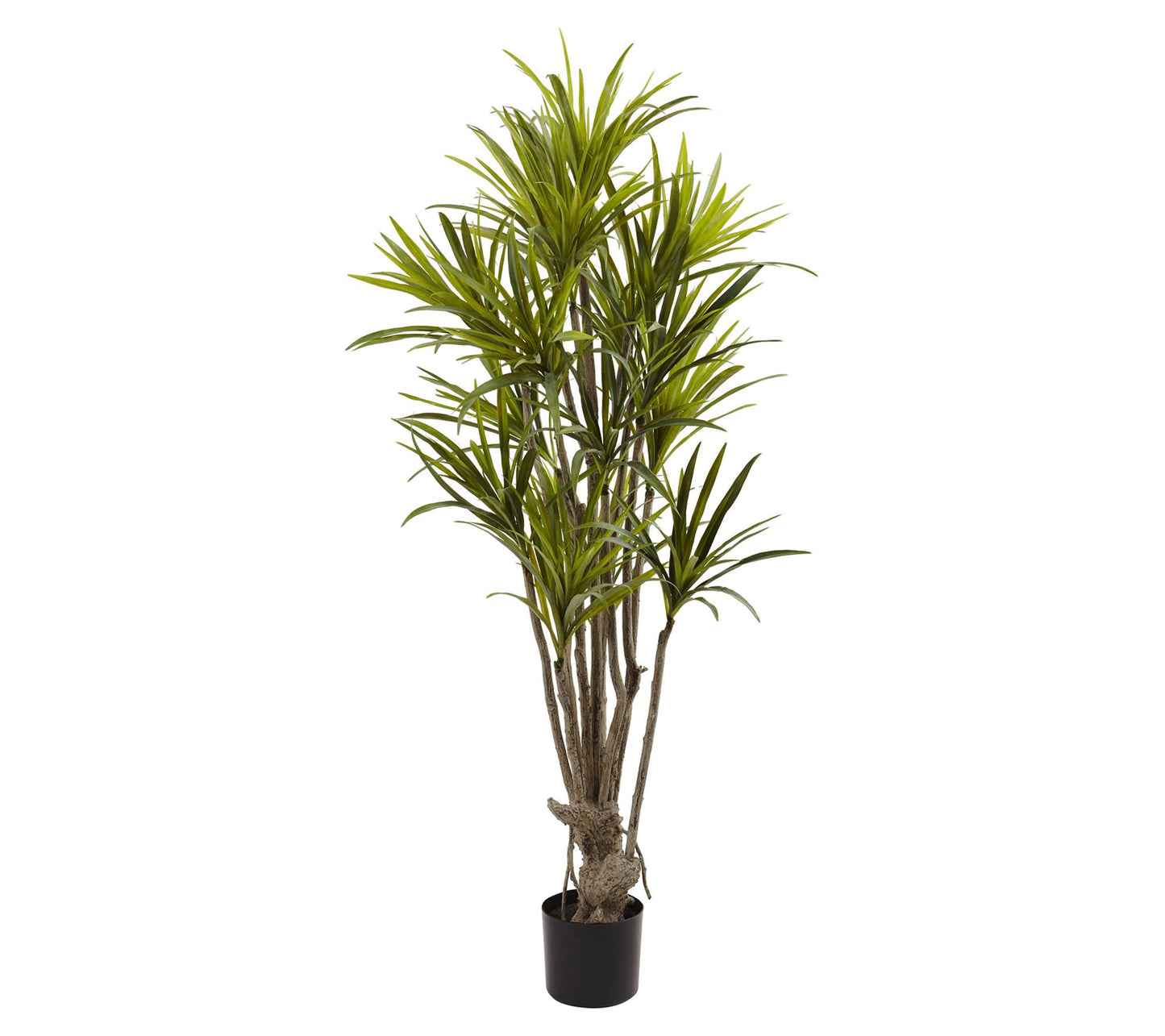 5' Dracaena Silk Tree by Nearly Natural