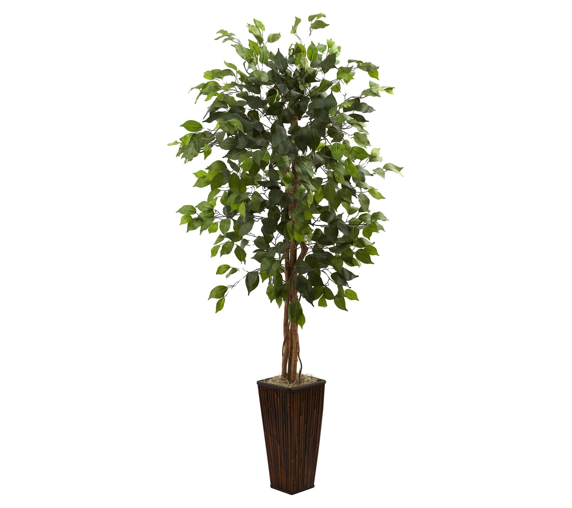 5.5' Ficus Tree w/Bamboo Planter by Nearly Natural