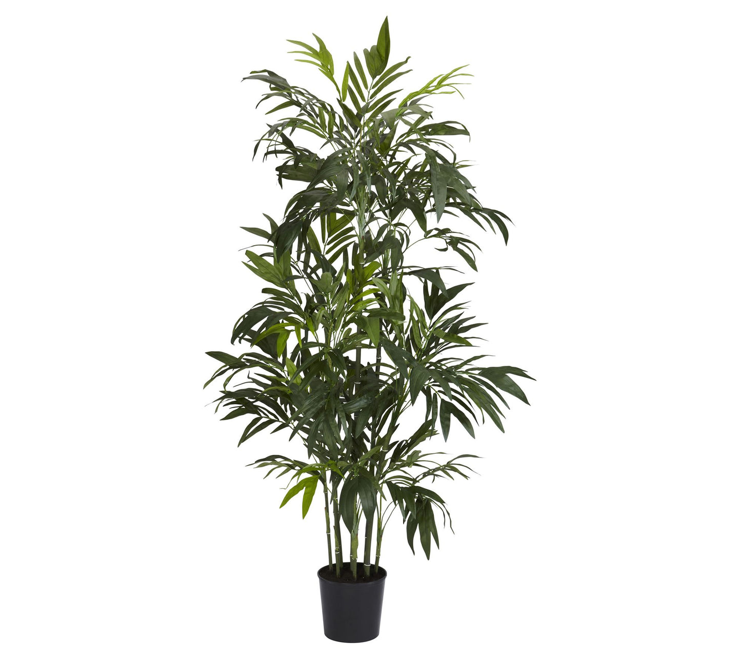 6' Bamboo Palm Silk Tree by Nearly Natural