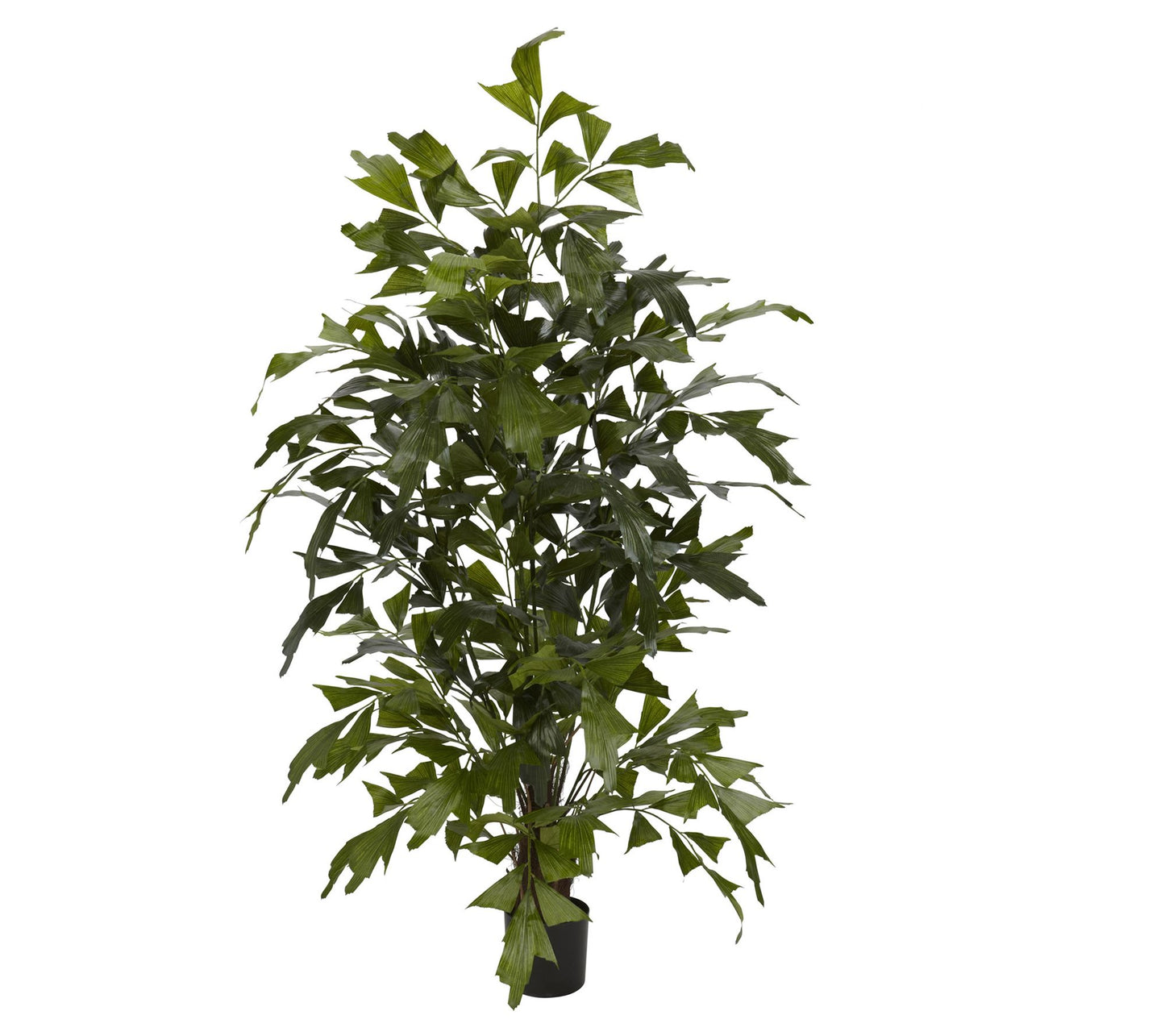 4.5' Fishtail Palm Tree by Nearly Natural