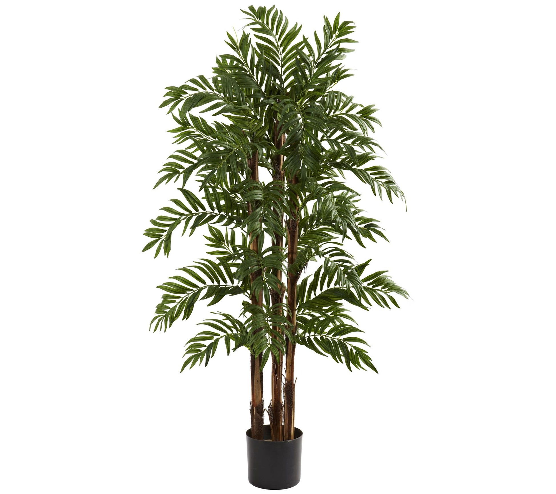 4' Parlour Palm Tree by Nearly Natural