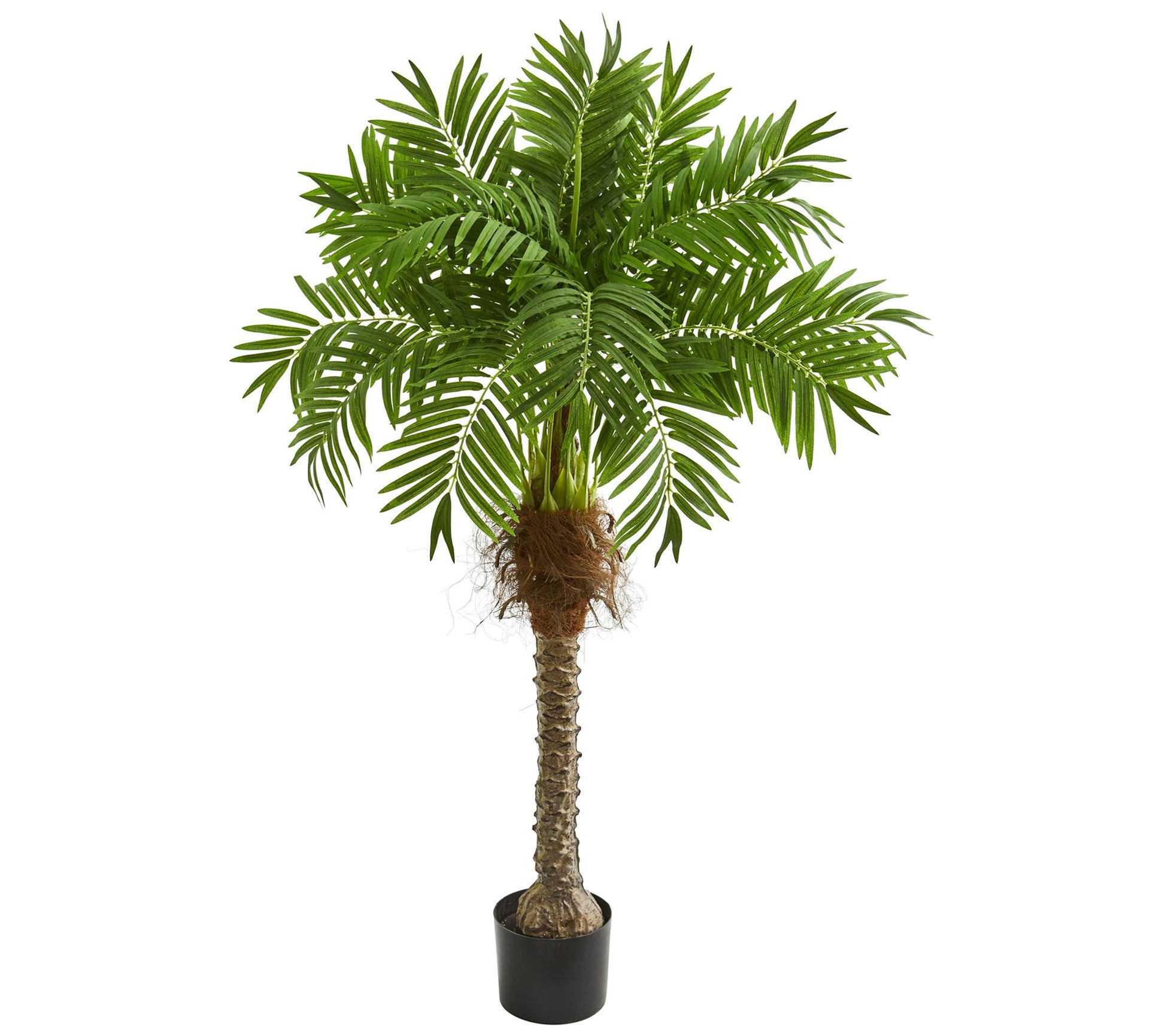 58" Artificial Robellini Palm Tree by Nearly Natural