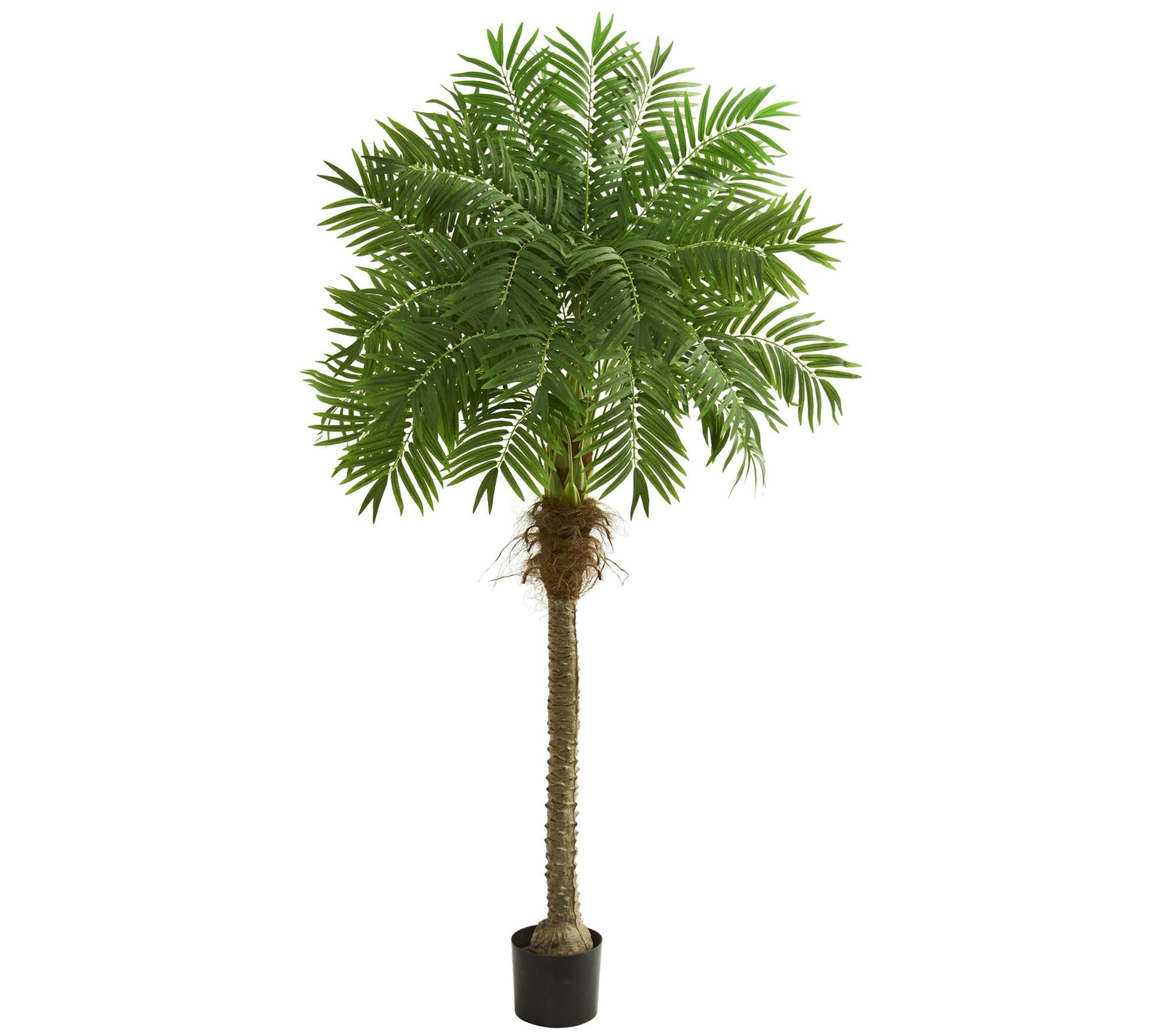80" Artificial Robellini Palm Tree by Nearly Natural