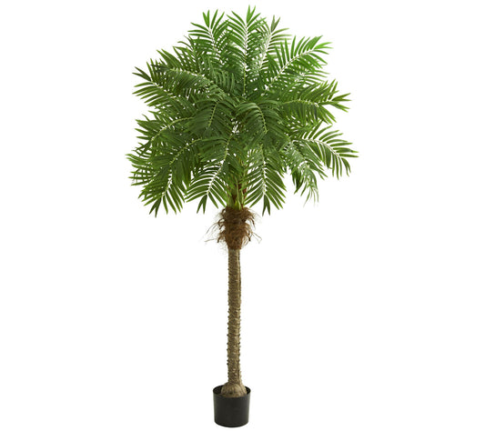 80" Artificial Robellini Palm Tree by Nearly Natural