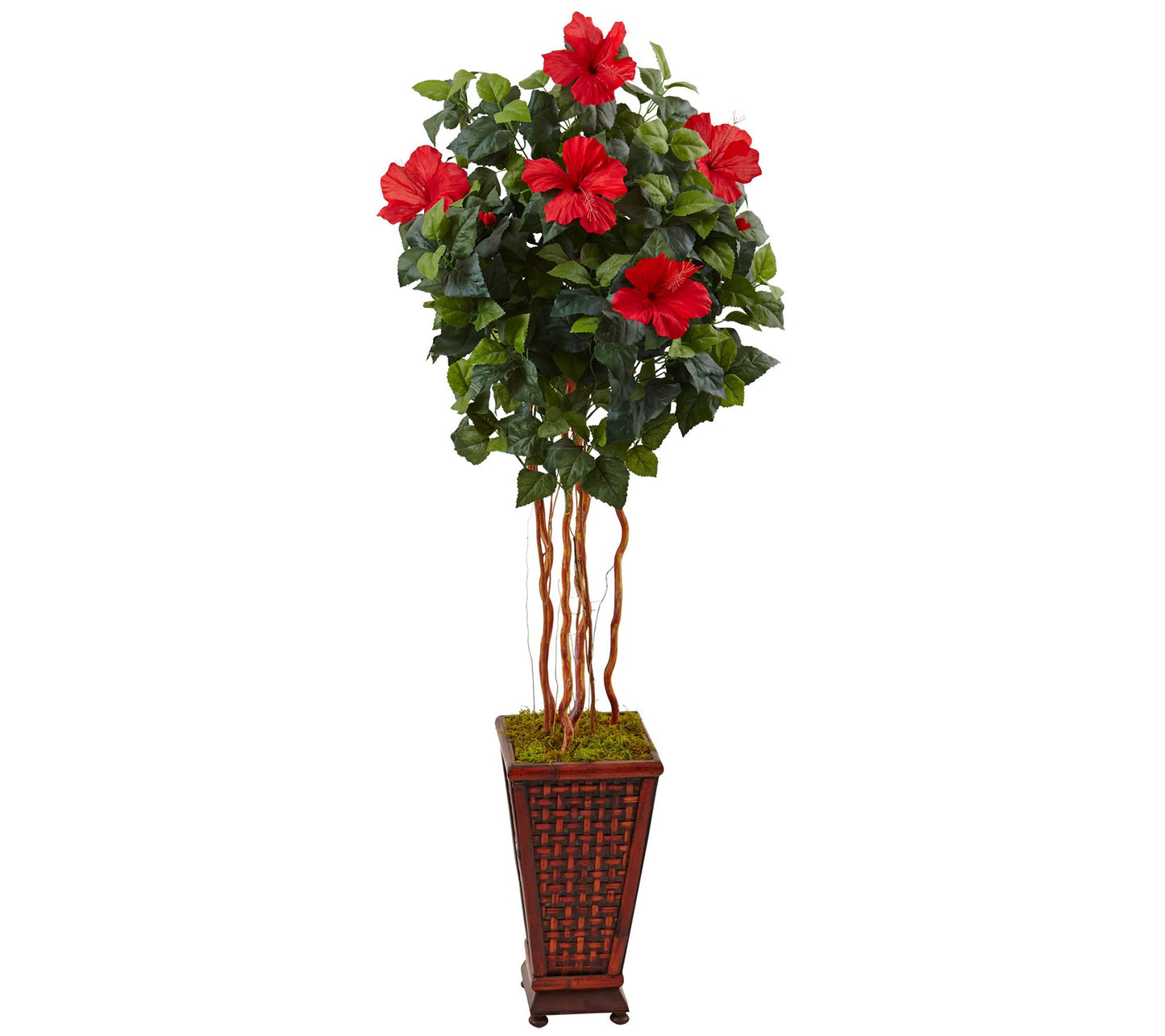 5' Hibiscus Tree in Decorated Planter by NearlyNatural
