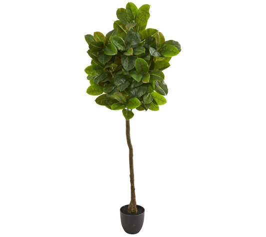 6' Rubber Leaf Tree Real Touch by Nearly Natural