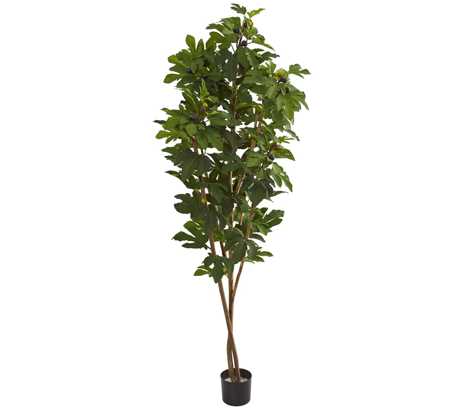 81" Fig Artificial Tree by Nearly Natural