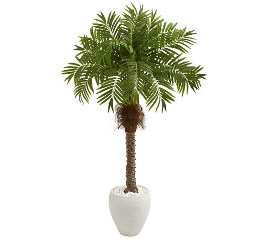 63" Robellini Palm Tree in White Planter by Nearly Natural