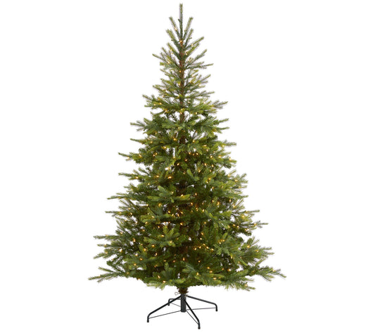 7' Lit North Carolina Spruce Christmas Tree byearly Natural