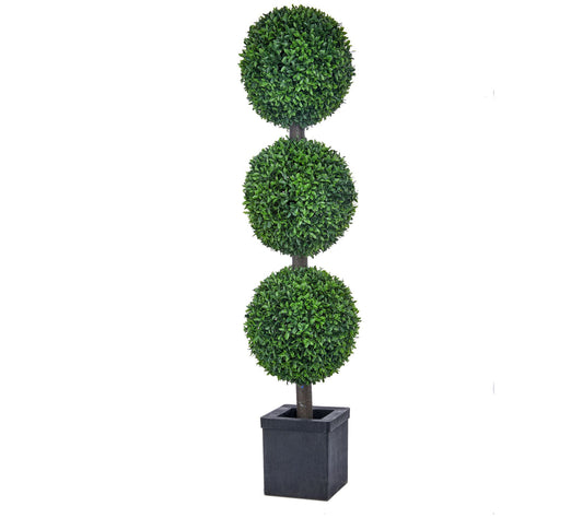 Potted American Boxwood Triple Ball 48" by Valerie