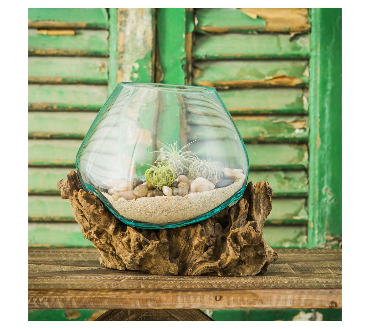 Evergreen Medium Glass Planter on Driftwood